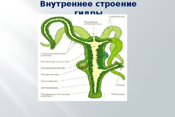 Кракен сайт закладок