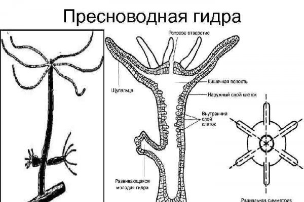 Кракен 15at